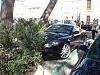 Hilarious-dsc02039.jpg