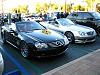 couple pics from Crystal Cove over the weekend-r-jccs.jpg