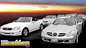 Slk Section Banner-mbworld-copy.jpg