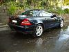 New owner saying Hi!-p7280023_600.jpg
