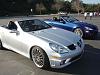 pics from the ROSE BOWL 5 Feb meet....-platinum-wolf.jpg
