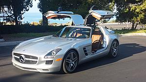 New to the SLS-image.jpg
