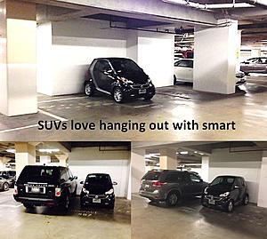 SUVs are attracted to smart cars-smartsuv.jpg