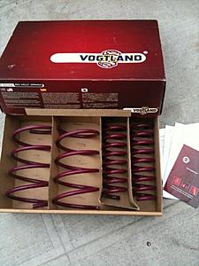 NYC area: Vogtland springs-springs.jpg