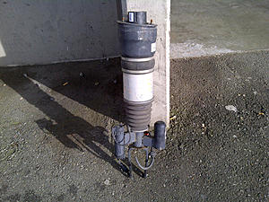 Fs: W211 Airmatic Strut  Drivers Front (4x4)-w211-air-shock.jpg