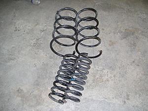 w203 Sport Springs OEM-p1010586.jpg