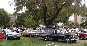 meet pics-mb-corral-1.jpg