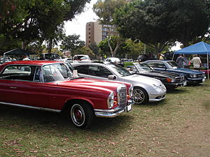 meet pics-mb-corral-2.jpg