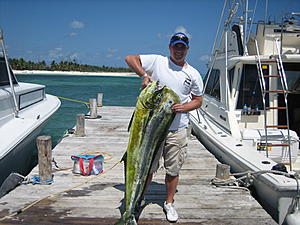 King Mahi Mahi..........-img_7014.jpg