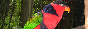 yada-img_2951.jpg