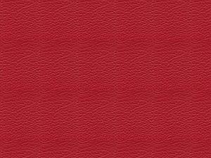 (test Pics)-243-red-leather.jpg