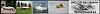 Final Test-test.jpg