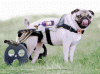 Test-fd96b7b8.gif