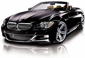 BMW Z4 Swallowed a dear-image001.jpg