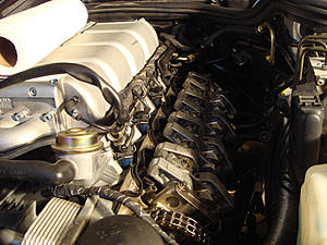 80% leakdown on cylinder 5... what to do?-dsc03707.jpg