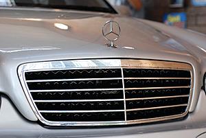 shoul i paint my front grill black?-4652_1193537318282_1223880860_31003607_6826795_n.jpg