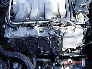 Engine Bay Bling-08.jpg