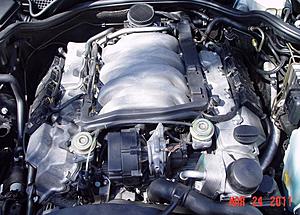 Engine Bay Bling-b.jpg