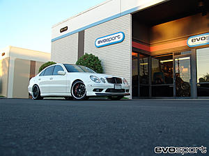 Another Evosport E55 Project * PICS *-dsc09398.jpg