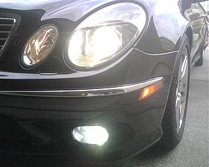 How about a little Light-img00043.jpg