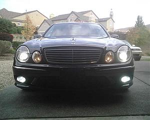 How about a little Light-img00041.jpg