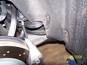 squirming rear end ?-100_0586-medium-.jpg