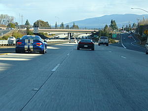 exotic encounter....  last weekend-91993054.mddrwlt7.jpg