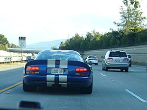 exotic encounter....  last weekend-91993056.2ur4yv1x.jpg