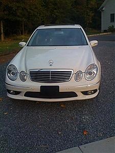 Another Newbie-n826024_42569869_4430-1.jpg