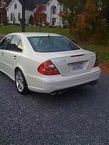 Another Newbie-n826024_42569861_2699.jpg