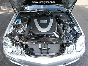 MY FIRST AMG!!! 2003 E55 AMG-engine.jpg
