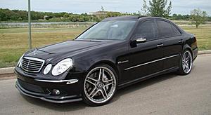 New pics (Canadian pets included)-carbon.jpg