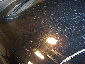 '06 E55 Paint Correction Fun-cpillarbefore.jpg