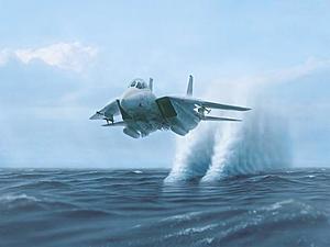 Couple pics of the Black Night-f-14_tomcat.jpg