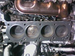 Broken piston... rebuild thread. PICS-gasket-piston-.jpg