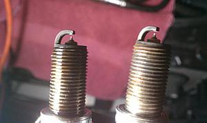 Oily Spark Plugs-imag0179.jpg