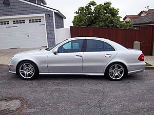 Part of the family now-e55.jpg