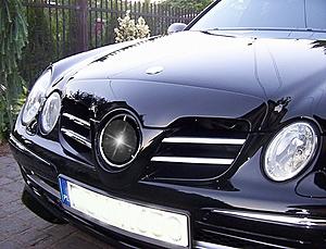 SLR W211 grill-009gwiazdaw211.jpg