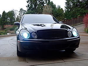 Head lights-dsc00812.jpg