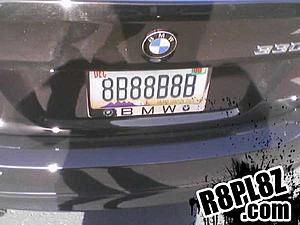 Let's see custom plates comprised of 5 and S - also 0 and O and 3 / E-plate7.jpg