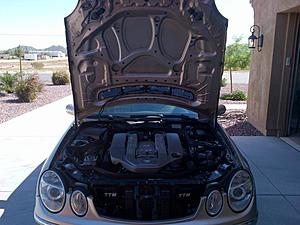Underhood Liner: How many of you still have it?-north-pinal-20120915-00355.jpg