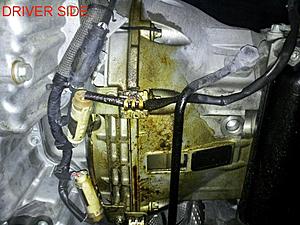Fluid leaks...-3.jpg