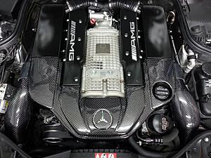 ***Introductory Group Buy*** Carbon Fiber Engine Cover for all AMG 55K Motors-338531_499750683383995_1178078327_o.jpg