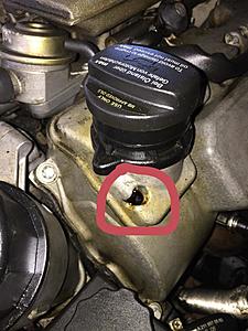 Having difficulty locating oil leak-009fde2d-c93d-4a09-9d54-30d1a4bc9c27_zpsdpakpbiv.jpg