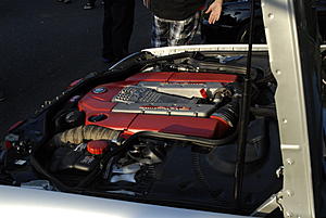 ENGINE BAY PIC THREAD.-3416.jpg