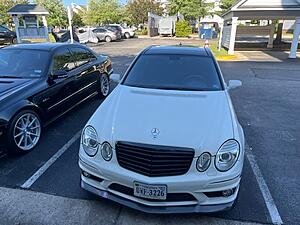 My brother from another mother-white-e63.jpg