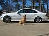 Car's back from bodyshop...-e55-after-paint-004.jpg