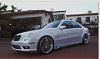 Widebody E55k w/Pearl paint job-e55k4.jpg