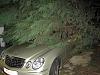 My E63 Vs. Big Tree !!-5.jpg