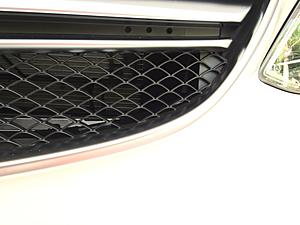 AMG badged grill.  Why some and not others.-image.jpg